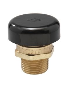 Watts 0556031, LFN36M1, 0.75" Lead Free Brass Vacuum Relief Valve, Male Npt, Protective Cap