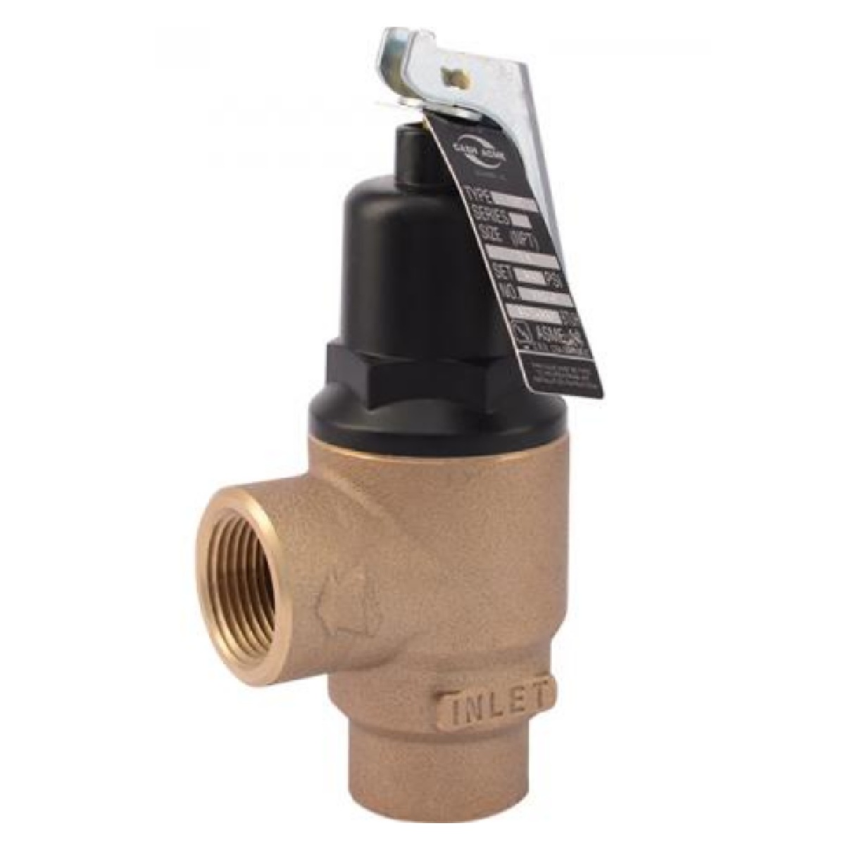 Cash Acme 13570-0100 F-82 3/4" 100 PSI Pressure-Only Safety Relief Valve